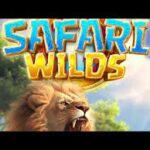 Harvey777 Slot Safari Wilds